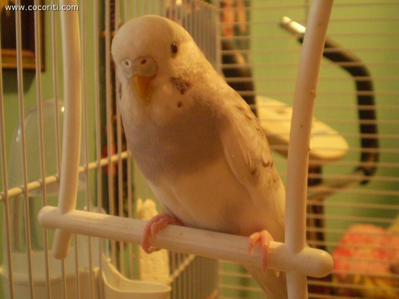 Kira  :)