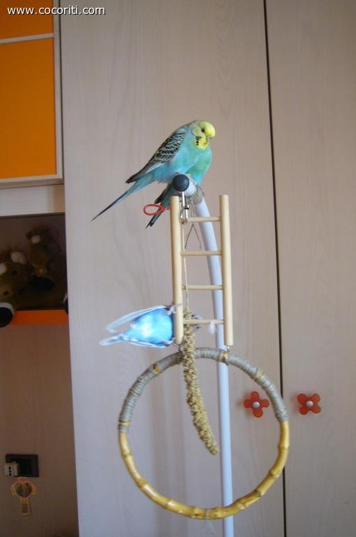 Coco gioca!!