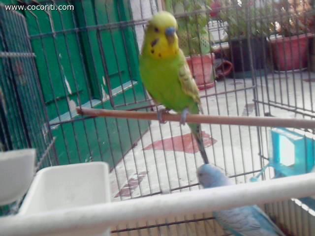 Il fidanzatino di Chicca!