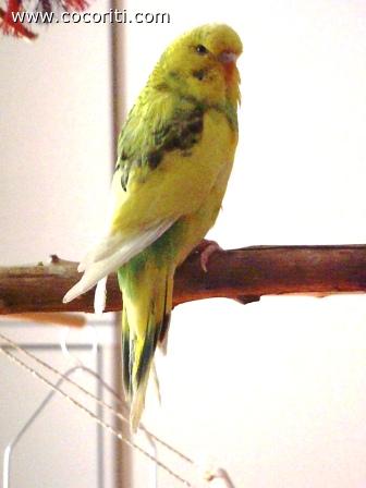Gloria