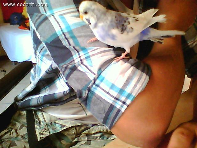 Benitoo!!!!