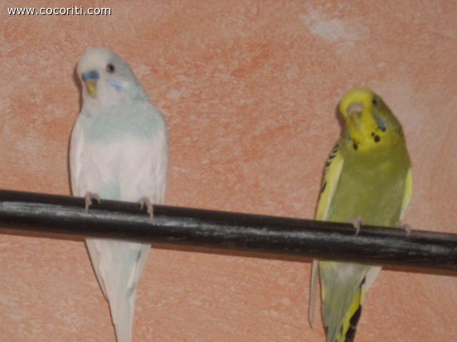 Adoriamo guardarti dall'alto U.U