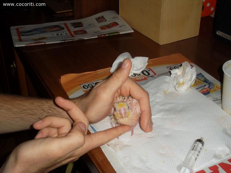un bel massaggino