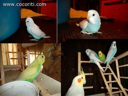 i piccolini in salute