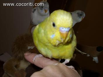 Ciccio & me