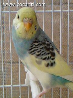 candy e le sue pose ahah