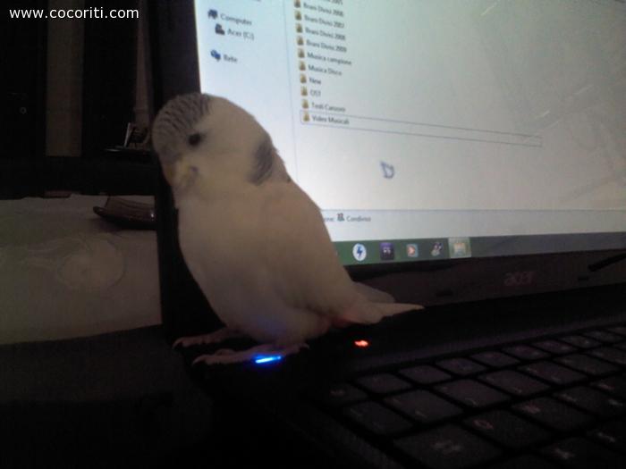La mia coco =)
