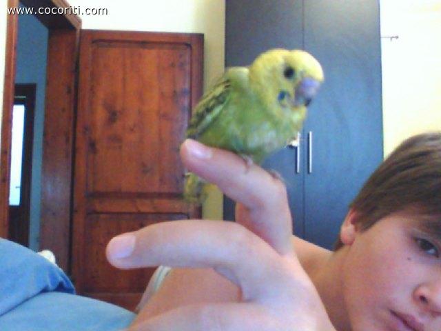 jack