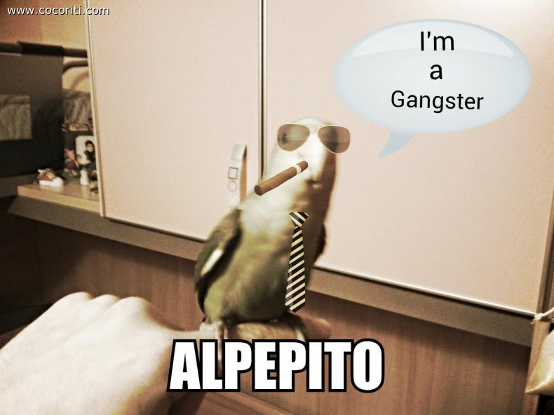 ALPEPITO