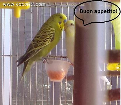Bacio di buon appetito