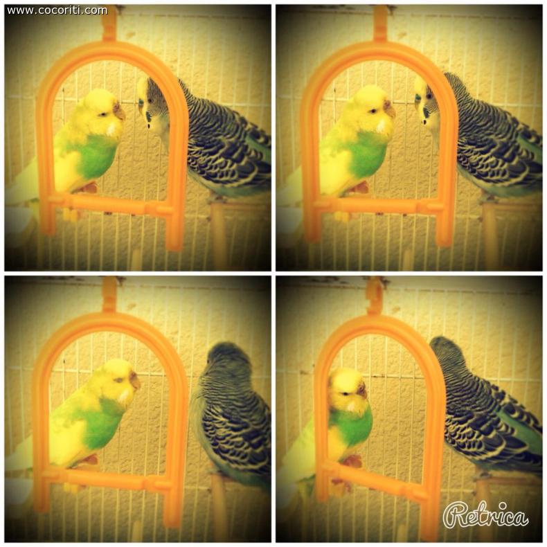 loro due ...