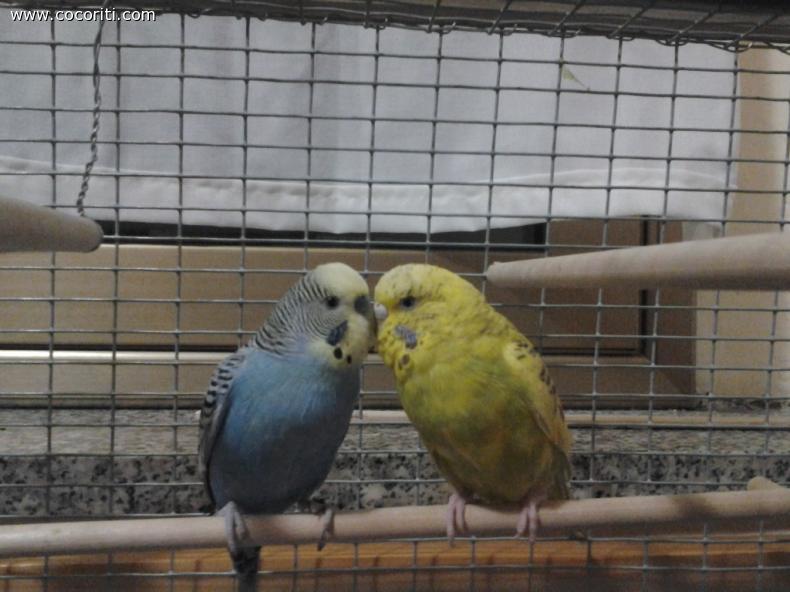 COCO & RITA