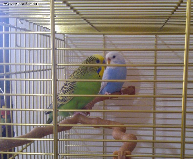 Jack e Luna