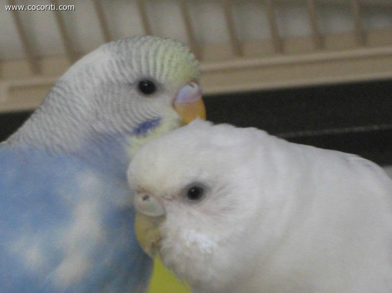 Mamma e figlio