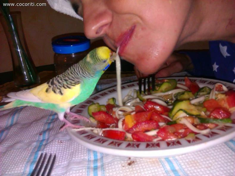 lo spaghetto conteso