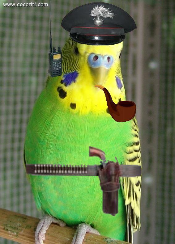 Milo il Poliziotto