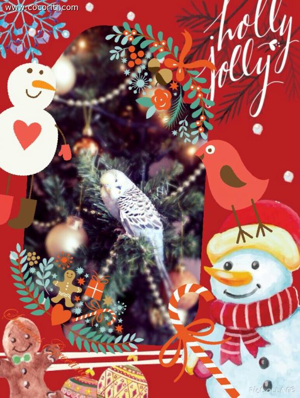 Dolcissimo Natale!