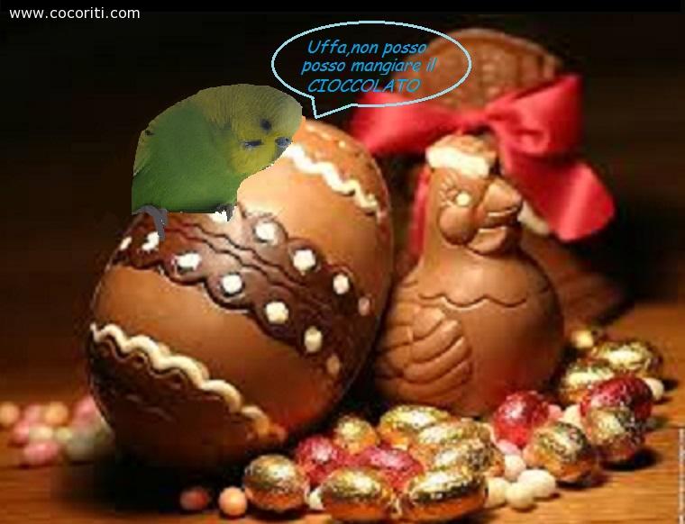 Non mangio il cioccolato :'(