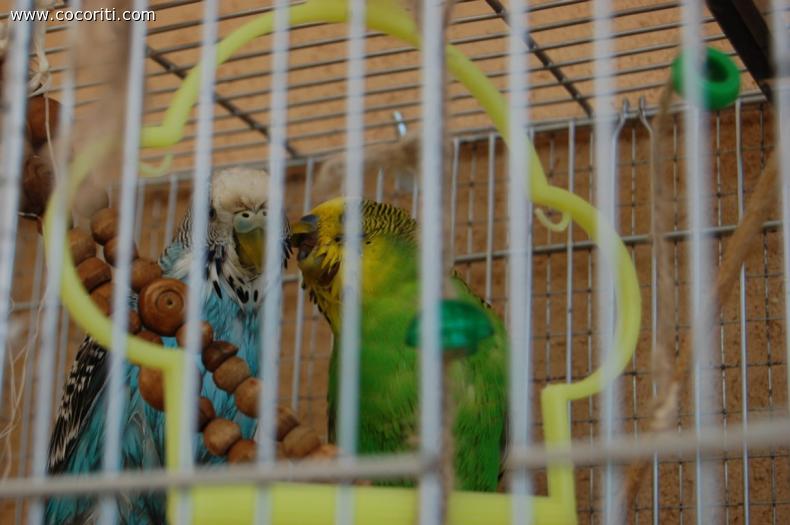 Violetta e Fabri dopo il bagnetto via con le coccole