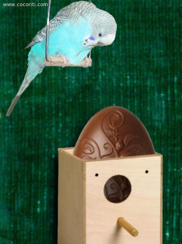 Sorpresa di Pasqua