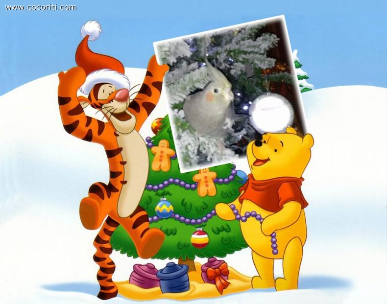 Il primo Natale di Ciccia :)
