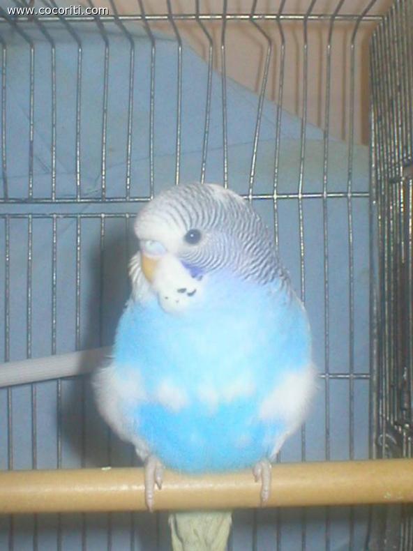 George