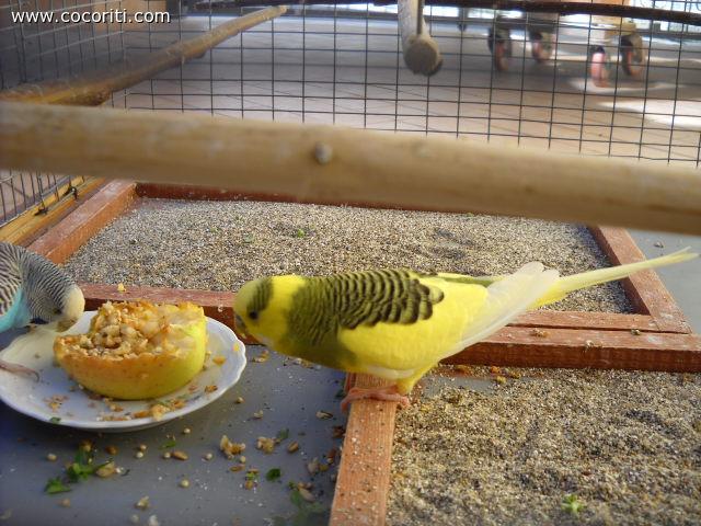 Buon appetito!!!!!!!!