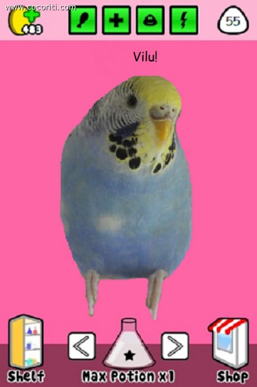 cocopou