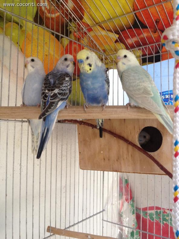 Famiglia al completo
