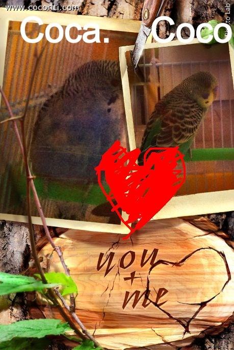 Amore per sempre !❤️
