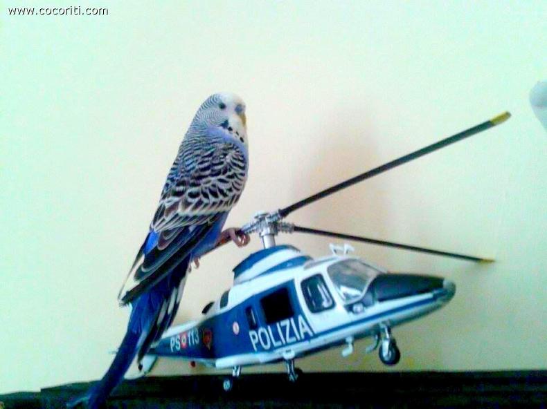 Soccorso aereo in arrivo!