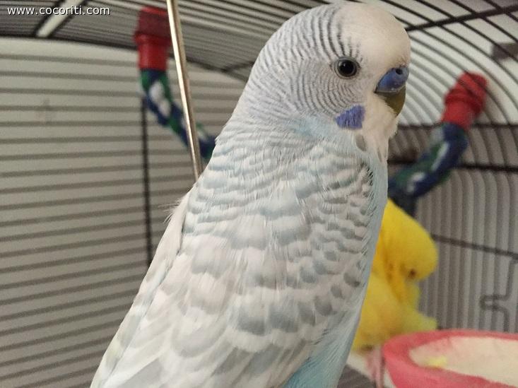 il profilo del mio Cielo