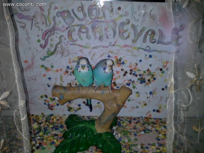 Evviva CARNEVALE!!!