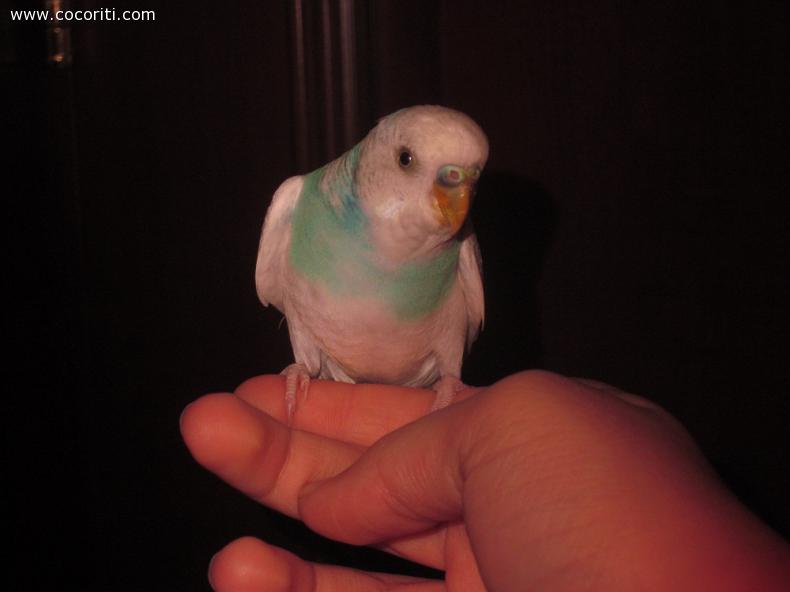 eccomi