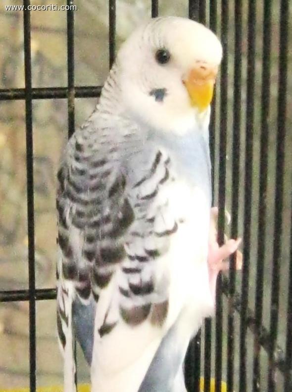 Nikita che faccia da furbetta**