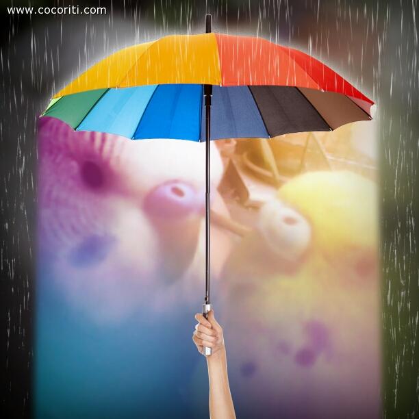 piove