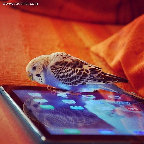 Rosita e l'ipad