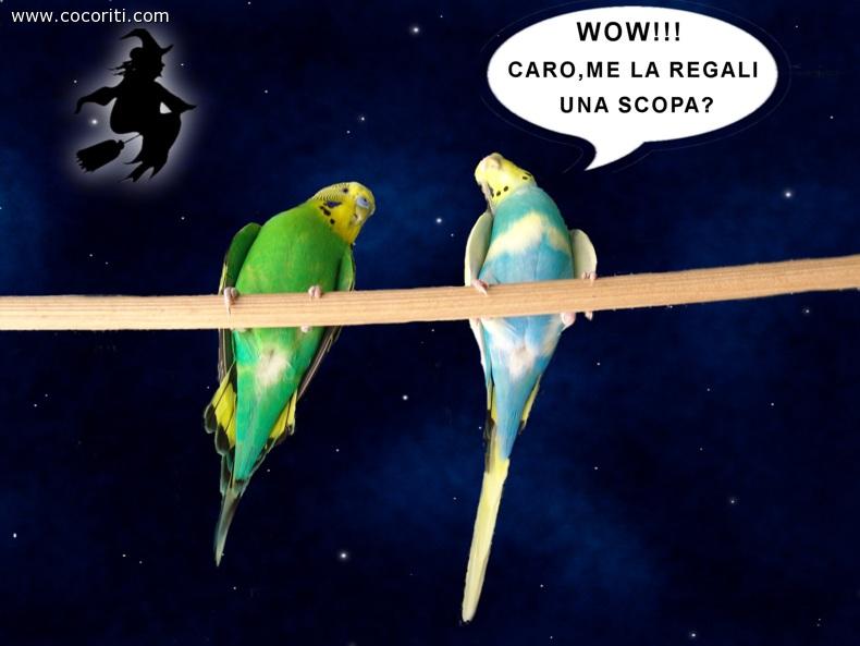 Quando passa la befana