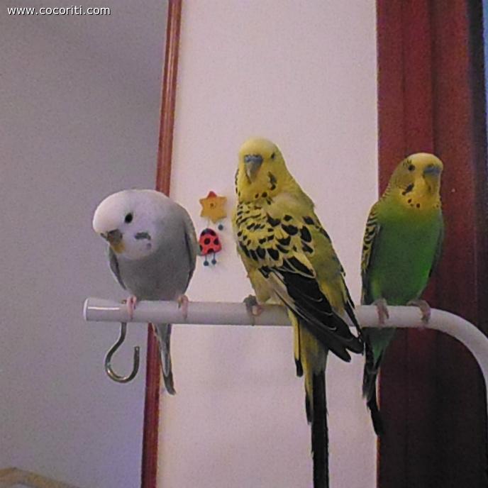gli amori miei:)