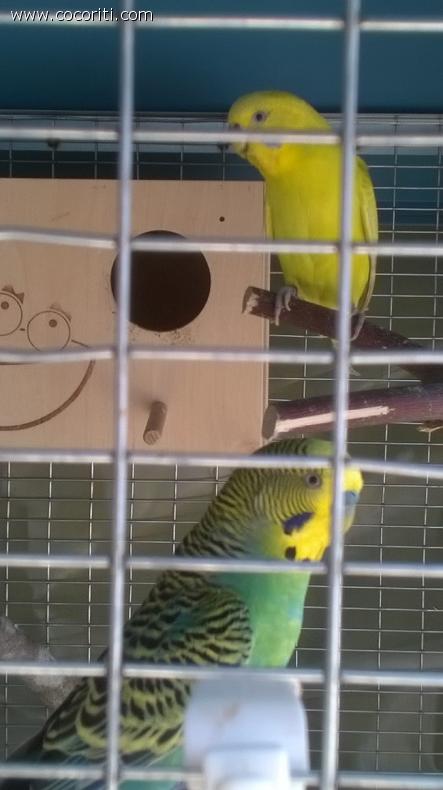 Mia e Marcellus