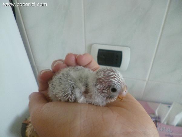 sto tutta in una mano:)
