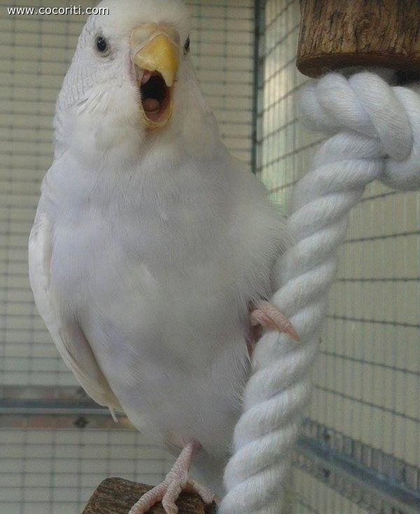 Uh, che sonno!