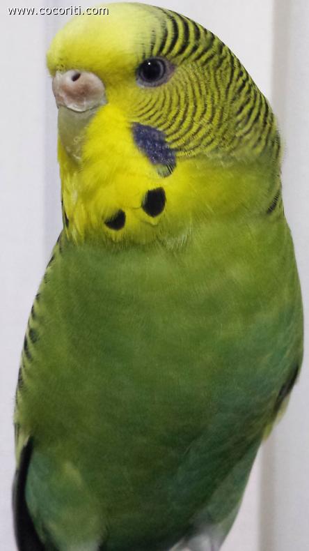 Occhio "truccato"