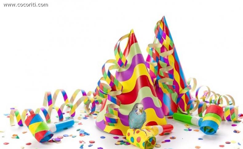 we carnevale