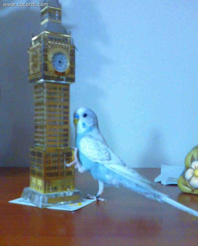 Il mio Penny :)