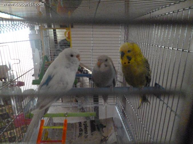 la prima foto di famiglia:)