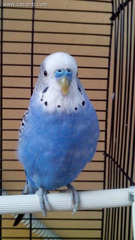Azzurro il pomeriggio è sempre azzurro :D