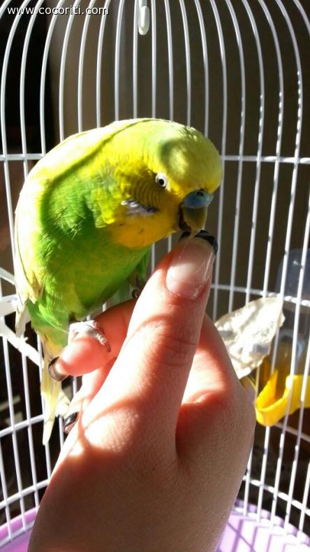 Gigetto mi fa la manicure!