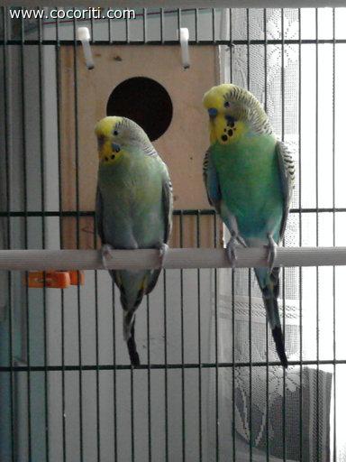 Rita e Coco