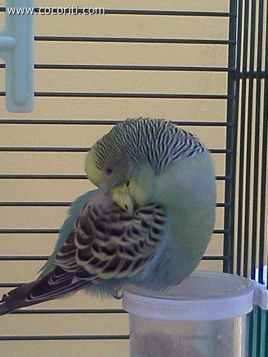 Rita dorme ;)